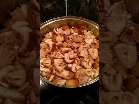 ВАЛУЙ.Russula foetens.