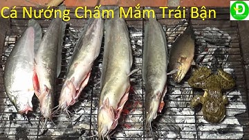 563  Ngày Đầu Trở Lại Sông Cái Cắm Câu - Dính Toàn Cá Khủng | Đất Phương Nam