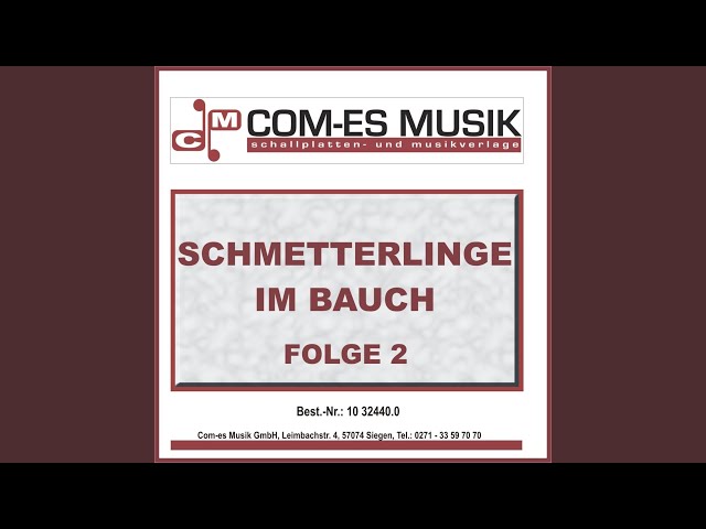 Chris Wolff - Schmetterling der Sommernacht