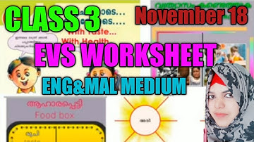 Class 3 EVS Worksheet November 18 Thursday Eng& Mal Medium/NoorulElm Class 3 EVS