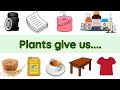 Uses of plants  uses of plants for kids  plants and their uses  plant give us  uses of trees