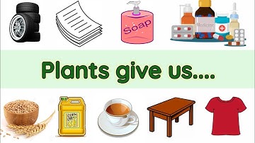 Uses of plants | Uses of plants for kids | Plants and their uses | Plant give us | uses of trees