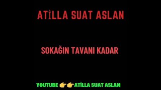Atilla Suat Aslan - Sokağın Tavanı Kadar Resimi