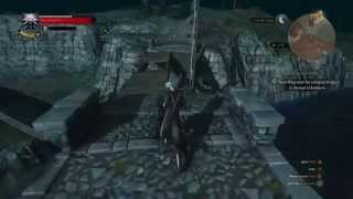 Witcher 3 Jump Bug