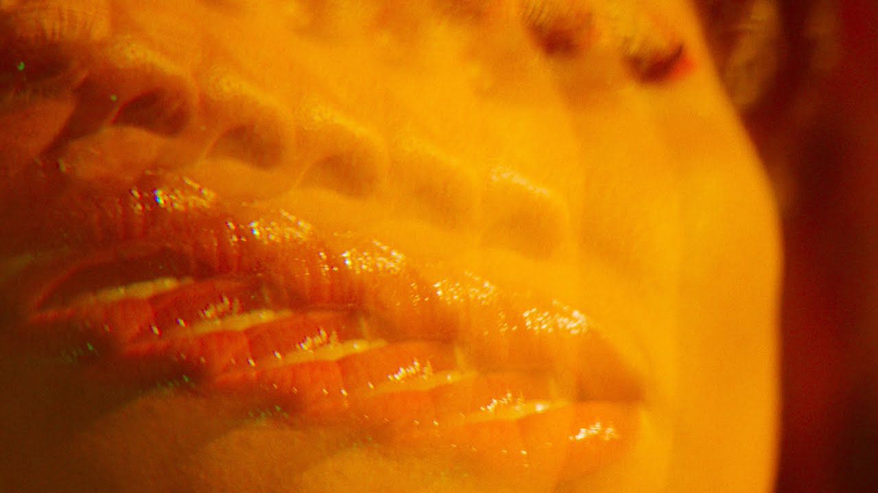 Смотреть «Mulú, Luedji Luna, ÀTTØØXXÁ - Tô Te Querendo (Clipe Oficial)» на YouTube Смотреть «Mulú, Luedji Luna, ÀTTØØXXÁ - Tô Te Querendo (Clipe Oficial)» на YouTube