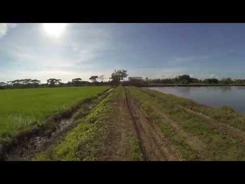 Bird's Eye View of Tilapia Fish Farm in San Mateo, Isabela