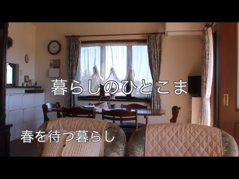 【60代暮らしのvlog】花粉症予防/業務スーパー/バナナとチョコのホットサンド/犬との暮らし