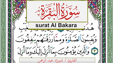 سورة البقرة شيرزاد عبد الرحمن طاهر Surah Al Bakara Sherzad Taher برواية حفص عن عاصم