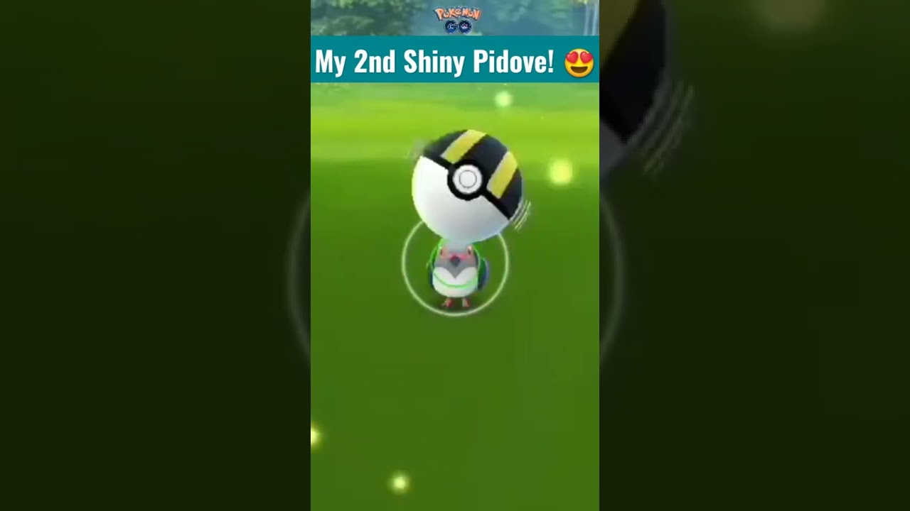 My 2ND SHINY PIDOVE!  - Pokemon GO Shorts 
