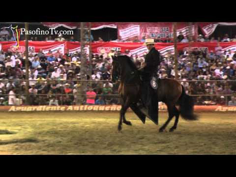 Trocha y Galope - Gran Campeón, Bucefalo de Vuelta Grande, Feria de Flores 2012