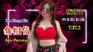 杨培安 - 我相信 (抖音热门Dj版) Wo Xiang Xin【Aku Percaya/ I Believe】- Lyrics Pinyin Terjemahan Indonesia