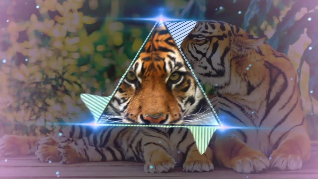 best tiger beat ringtone / download link in discription YouTube