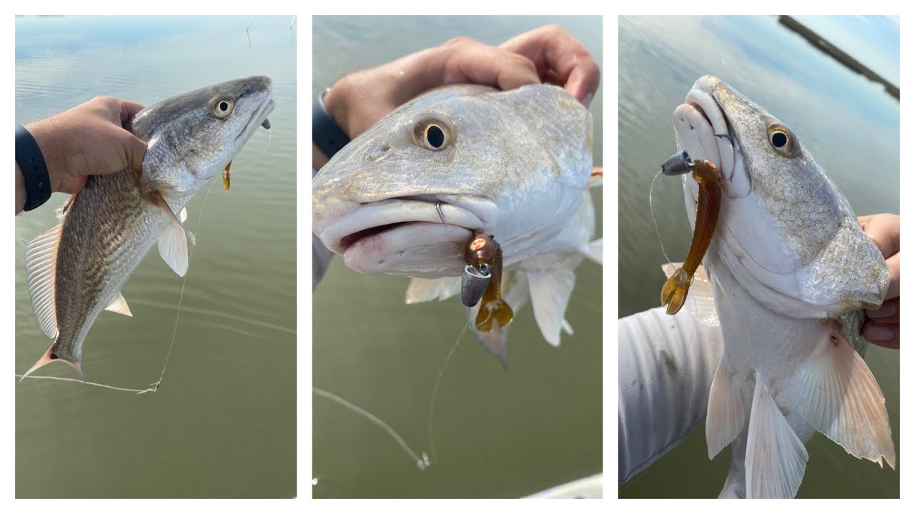 New Lure For Saltwater??? Galveston Tx. YouTube