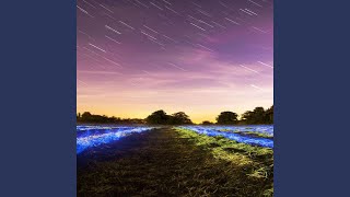 Celebrity Goyard Profile