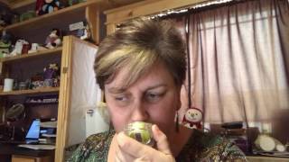 Scentsy First Sniffs Spring/Summer 2017