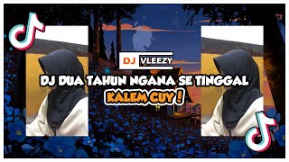 DJ Tiktok Dua Tahun Ngana Se Tinggal | DJ Vleezy Bootleg