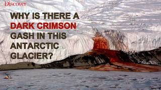 Why Does it Look Like Theres a Bloody Waterfall in Antarctica?