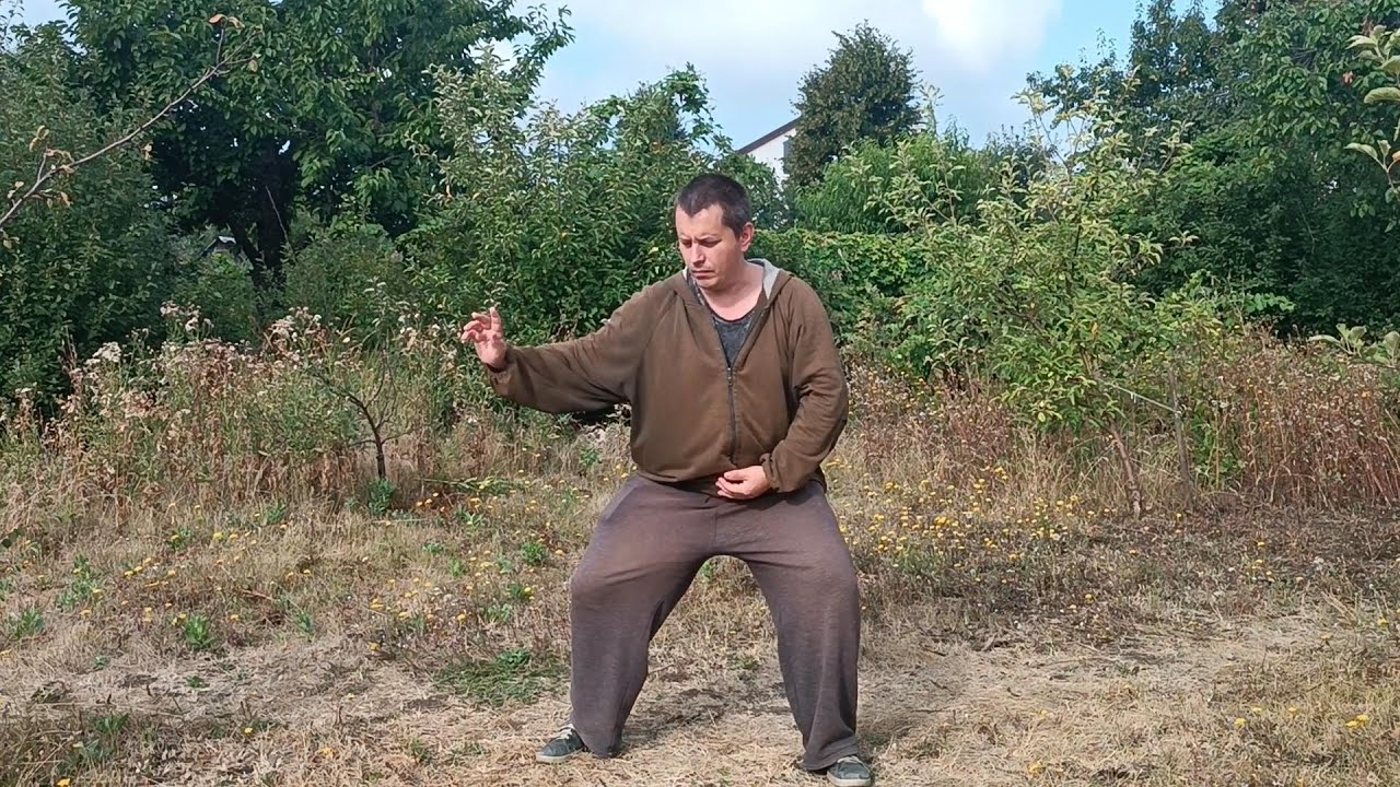 Walking Qigong: Step Of 5 Elements ( Fire / Water / Wood / Metal / Earth)