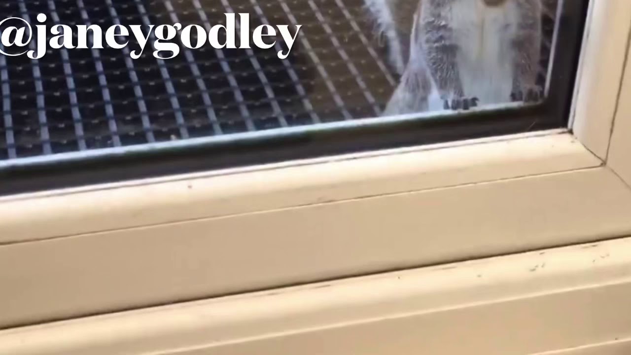 Isobel your nut feeder is empty