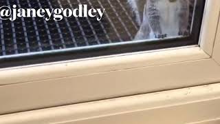 Isobel Your Nut Feeder Is Empty