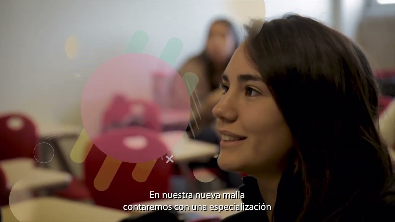 Nueva Malla | Ingeniería Comercial UDD