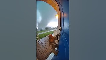 Will he survive the tornado 😱? #ai #sora #sora2 #ai #aivideo #shocking #monkey #tornado