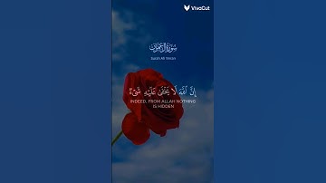ان الله لا يخفى عليه شيء 🌿 قرأن كريم القارئ 🌿 عبد  الرحمن مسعد 🌿