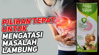 Anda Wajib Tahu! Kandungan Dan Manfaat Madu Maag Salam Obat Herbal Atasi Masalah Lambung