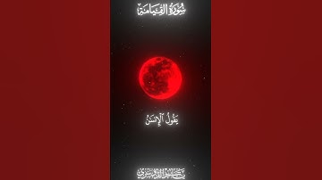 إستمع إلى القرآن الكريم بصوت الشيخ ياسر _الدوسري