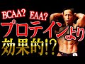 【プロテインの上位互換！？】消化不要で筋肉に直接届く？体育大学准教授が説く！BCAA・EAAはプロテインより優れているのか