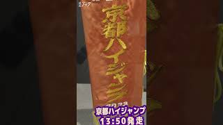 京都ハイジャンプ　優勝レイ　13時50分発走　全人馬無事に