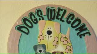 Pit Bull Attacks 9-Year-Old In St. Ann