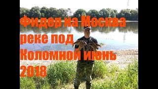 фидер на Москва реке под Коломной июнь 2018 фидер на Москва реке под Коломной июнь 2018