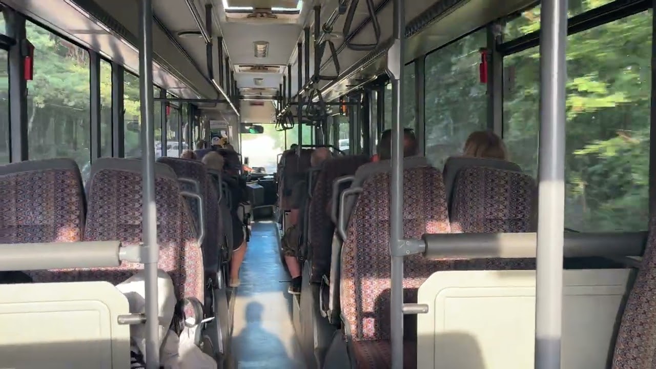 Setra S319NF #6102 (PKS Gdynia) [🚍650]