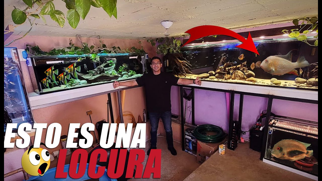 El Mejor Fish Room Que Verás 😍
