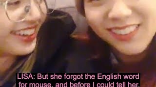 When Jisoo And Lisa Joke And Laughed Together  Jerry mouse Is Here In Their Room