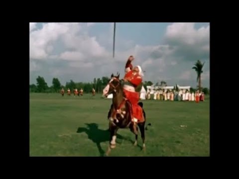 \"მამლუქი\" - მამლუქად ქცეული ხვიჩა (mamluqi)