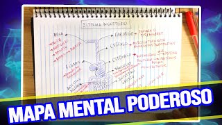 MAPA MENTAL - 'SISTEMA DIGESTÓRIO' - AGORA TU APRENDE │VEM ESTUDAR COMIGO