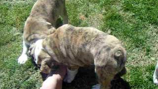 DSCF6178.AVI
