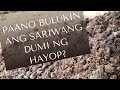 Paano Bulukin ang Sariwang Dumi ng Hayop?