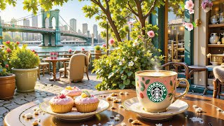 Starbucks Bossa Coffeeの配信のサムネイル画像