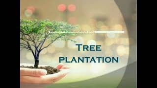 Tree  plantation powerpoint presentation (PPT) 🌳