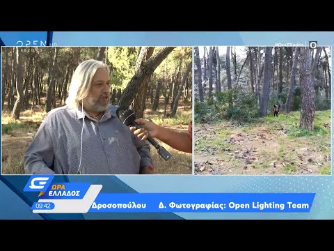 Θύελλα αντιδράσεων για