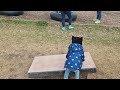 Elo Throw Sand BAG!!! Lol ..