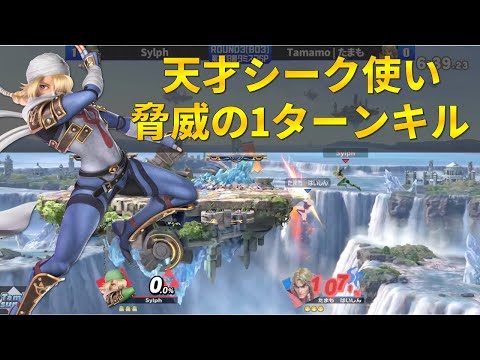タミスマ準優勝したシーク使いの天才的な復帰阻止【スマブラSP】
