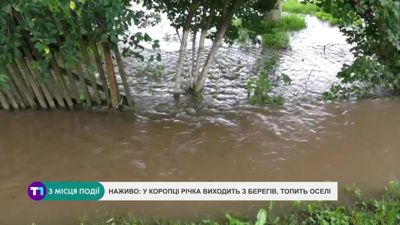 НАЖИВО | У Коропці річка виходить з берегів, топить оселі