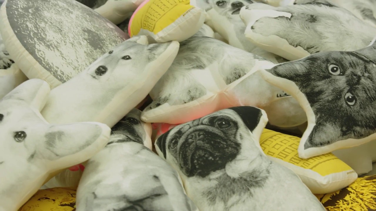 This Etsy Shop Turns Your Pet Into A Pillow House Beautiful YouTube