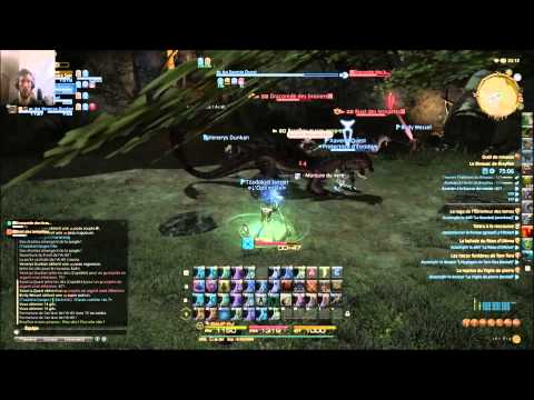 Final Fantasy 14 gameplay test connexion