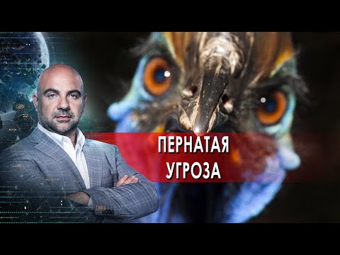 Пернатая угроза.  "Как устроен мир" с Тимофеем Баженовым.(27.01.2022).