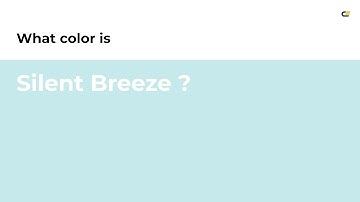 Silent Breeze color #c6eaec hex color - Blue color - Warm color c6eaec